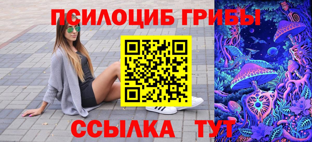 Галлюциногенные грибы Psilocybine cubensis  Вход с VPN  Нижневартовск  Псилоцибиновые грибы мицелий 